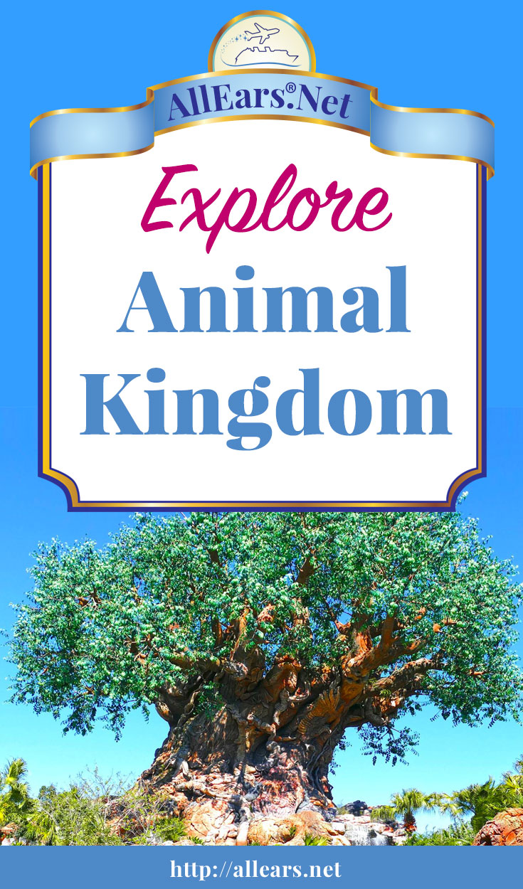 你的迪士尼动物王国公园指南在华特迪士尼世界| AllEars。必威电竞网站Net | AllEars.net