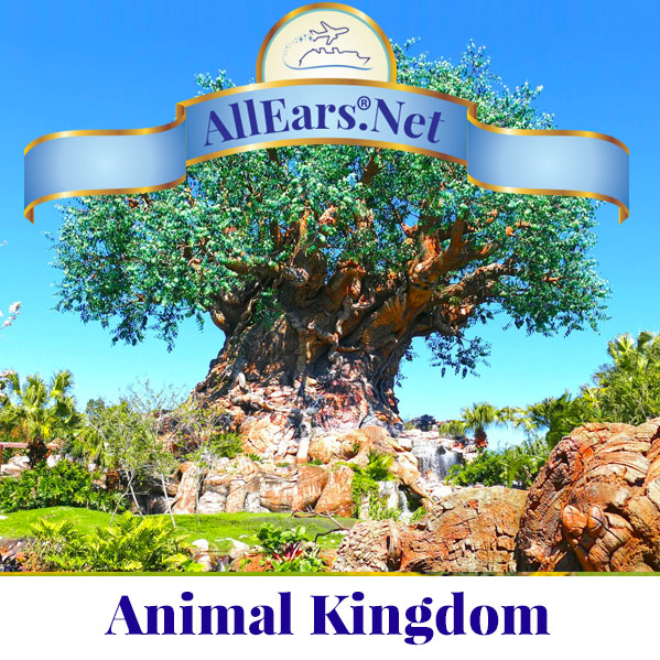 你的迪士尼动物王国公园指南在华特迪士尼世界| AllEars。必威电竞网站Net | AllEars.net